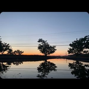 Meet your Posher, Alexxes